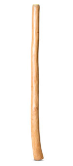 Medium Size Natural Finish Didgeridoo (TW1509)